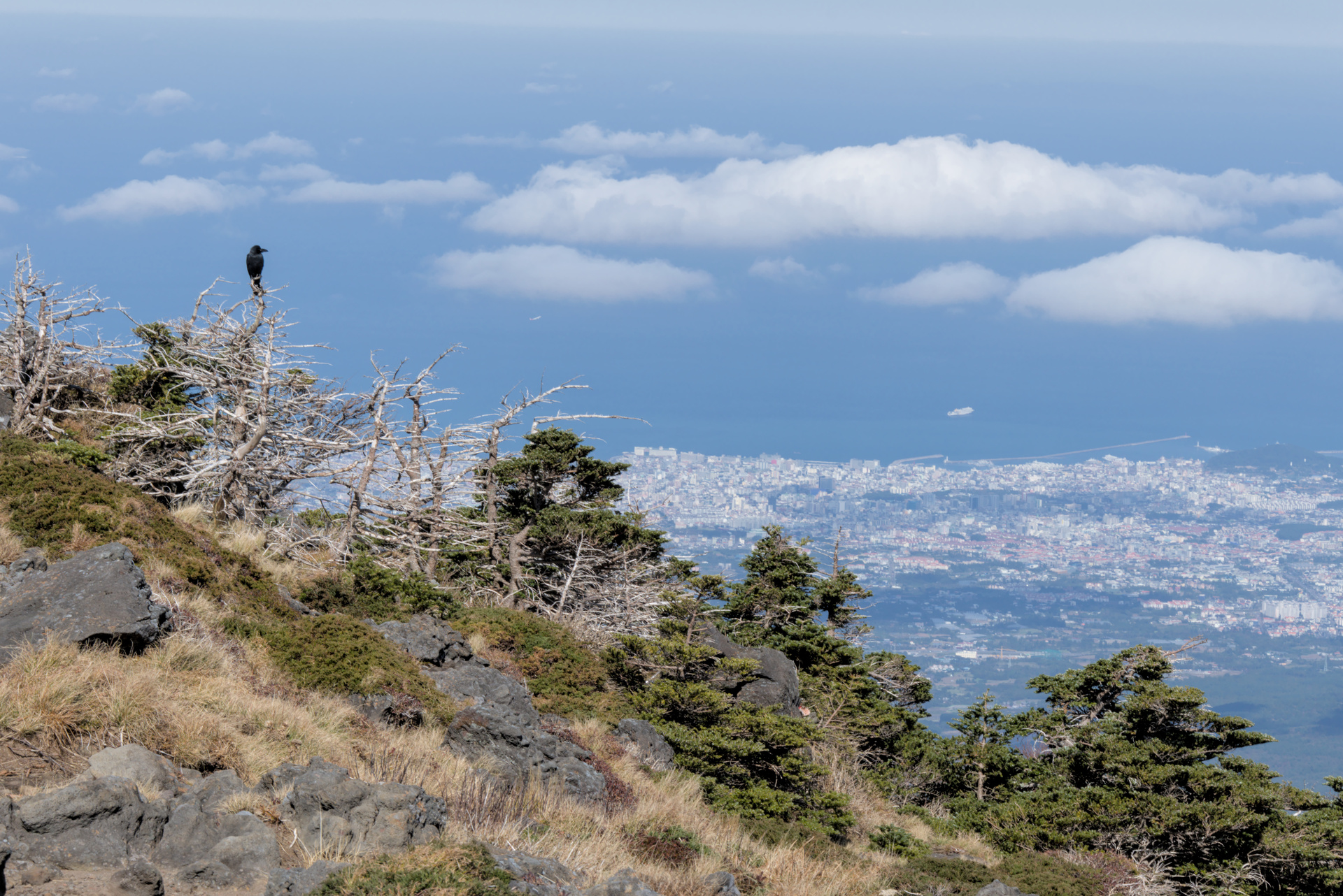 Surveiller Jeju depuis le sommet