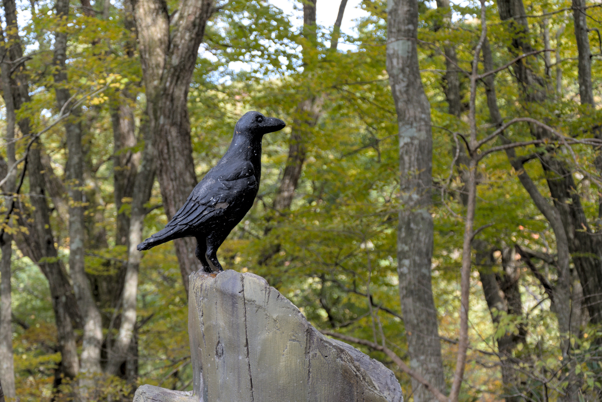 Statue du corbeau